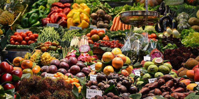 Egypt’s Agricultural Exports Reach $4.04 Billion in First 9 Months of 2024