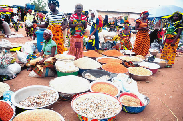 Africa’s $50bn Food Import Dependency Highlighted in Report