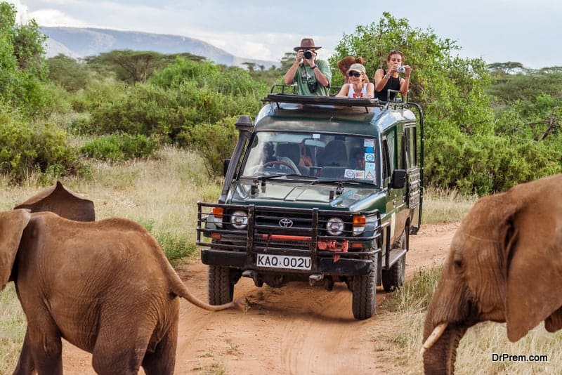 Overview of the Global Wildlife Tourism Market